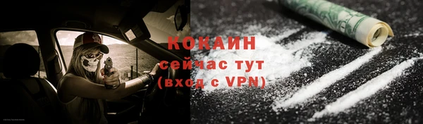 молекула духа Нягань