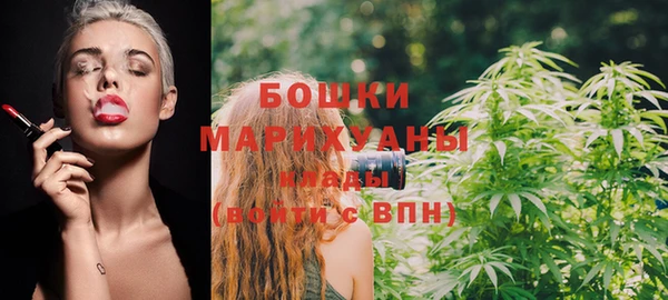 молекула духа Нягань