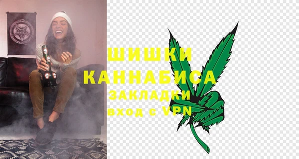 молекула духа Нягань