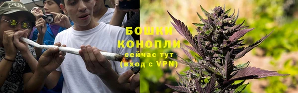 молекула духа Нягань